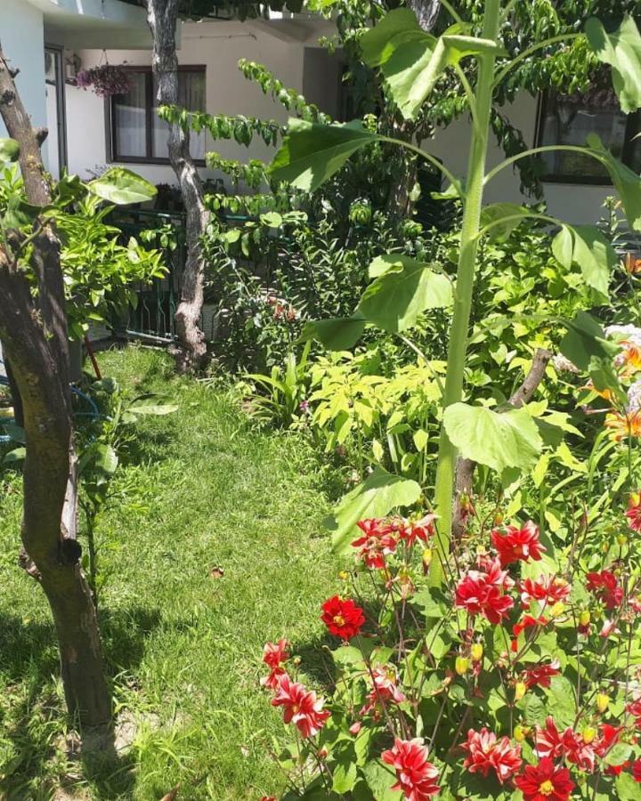 Guesthouse Dona Ulcinj Exterior photo