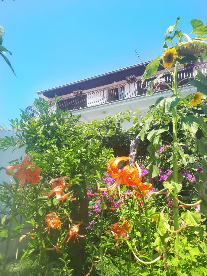 Guesthouse Dona Ulcinj Exterior photo